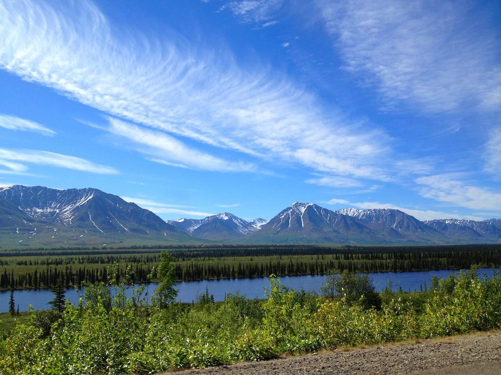Denali Cabins Denali Park Экстерьер фото