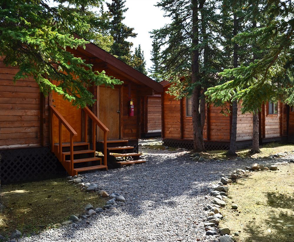 Denali Cabins Denali Park Экстерьер фото
